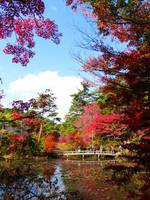 神戸市立森林植物園 の写真 (2)