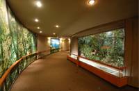 栃木県立博物館 の写真