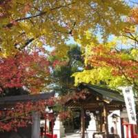 新田神社 の写真 (3)