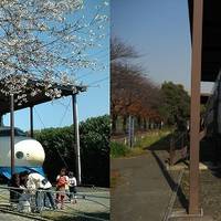 新幹線公園 の写真 (2)