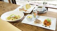 【閉店】47Cafe ヨンナナカフェ の写真 (2)