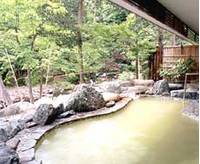 秘湯の宿 元泉館 （ヒトウノユ ゲンセンカン） の写真 (3)
