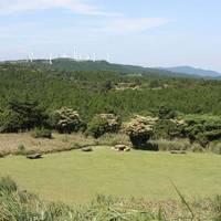 青山高原 の写真 (3)