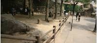高崎山自然動物園 の写真 (3)