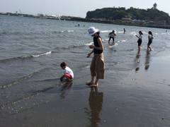 江ノ島海岸 （江ノ島東浜海水浴場）