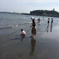 江ノ島海岸 （江ノ島東浜海水浴場） の写真 (1)