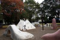 薬円台公園 の写真 (1)