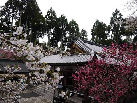 京都の子連れで行ける観光スポット選 ベビーカーでも楽に回れるから赤ちゃん連れの旅行でも 子連れのおでかけ 子どもの遊び場探しならコモリブ 京都の子連れで行ける観光スポット選 ベビーカーでも楽に回れるから赤ちゃん連れの旅行でも 子連れのおでかけ 子どもの遊び場探しならコモリブ