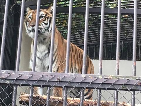 長野県にあるおすすめの動物園10選 たくさんの動物とふれあおう 2 子連れのおでかけ 子どもの遊び場探しならコモリブ 長野県にあるおすすめの動物園10選 たくさんの動物とふれあおう 2 子連れのおでかけ 子どもの遊び場探しならコモリブ