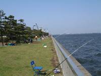 【東京オリンピック終了後まで休園】晴海ふ頭公園 の写真