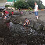 兵庫島公園 子連れのおでかけ 子どもの遊び場探しならコモリブ