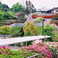 朝倉緑のふるさと公園 の写真 (2)