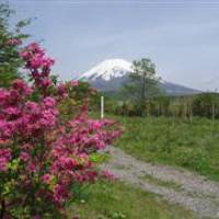 富士山遊歩道 の写真 (2)