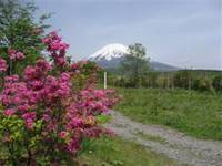 富士山遊歩道 の写真 (2)