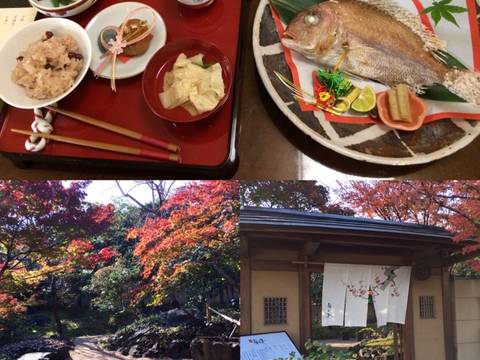 松山市で七五三のお祝いランチにおすすめな人気店10選 個室や座敷席ありも 子連れのおでかけ 子どもの遊び場探しならコモリブ 松山市で七五三のお祝いランチにおすすめな人気店10選 個室や座敷席ありも 子連れのおでかけ 子どもの遊び場探しならコモリブ