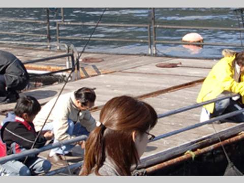 海上釣り堀 太公望 子連れのおでかけ 子どもの遊び場探しならコモリブ