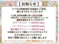 チェリーコーク(HAIR CHERRY COKE) の写真 (2)