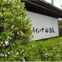 うぐいす谷温泉 竹の葉 の写真 (2)