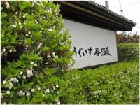 うぐいす谷温泉 竹の葉 の写真 (2)