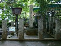 志村熊野神社 の写真 (1)