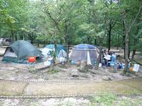 一向平キャンプ場 の写真 (2)