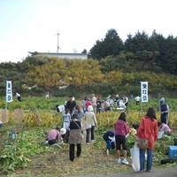 和泉市農業体験交流施設 いずみふれあい農の里 の写真 (2)