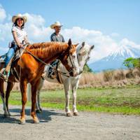 パディーフィールド 富士山麓 ホーストレッキング(乗馬) の写真 (3)