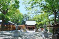 星川杉山神社 の写真 (2)