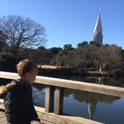 東京で河津桜が見れる公園10選。見ごろは2月下旬！
