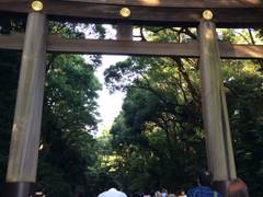 東京のお宮参りにぴったりな神社やお寺15選！都内の人気神社も