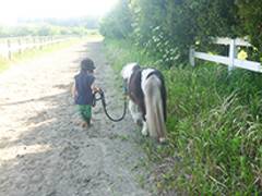 ボナンザ乗馬クラブ