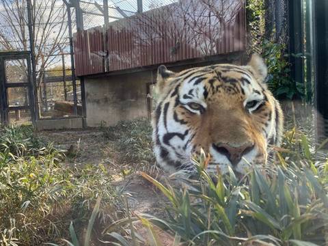 秋田の子供向け遊び場30選 観光やお出かけに最適なイベント開催施設や公園も 子連れのおでかけ 子どもの遊び場探しならコモリブ