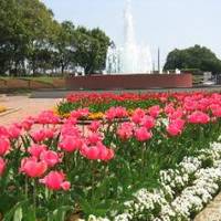 茨城県植物園 の写真 (2)