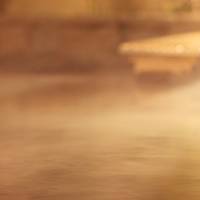 前野原温泉「さやの湯処」 の写真 (2)