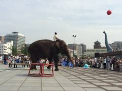 象の鼻パーク 子連れのおでかけ 子どもの遊び場探しならコモリブ 象の鼻パーク 子連れのおでかけ 子どもの遊び場探しならコモリブ