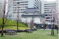 駿府城公園（すんぷじょうこうえん） の写真 (2)