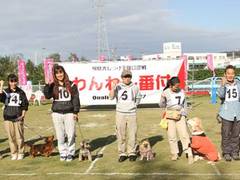Ipc アイピーシー わんわん動物園 子連れのおでかけ 子どもの遊び場探しならコモリブ