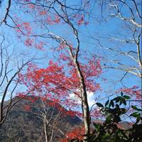 円海山ハイキング の写真 (1)