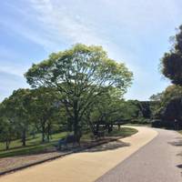 福岡県営春日公園 の写真