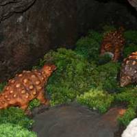 小原洞窟恐竜ランド＆極楽洞 の写真 (3)
