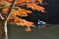 鎌北湖 の写真 (3)