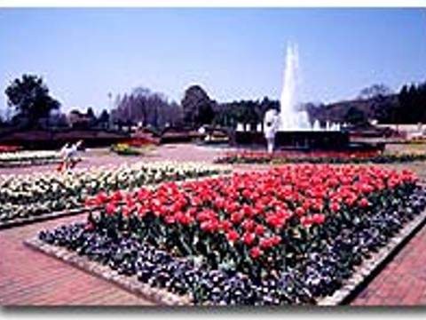 茨城県植物園 子連れのおでかけ 子どもの遊び場探しならコモリブ 茨城県植物園 子連れのおでかけ 子どもの遊び場探しならコモリブ