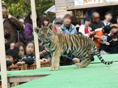 札幌で動物とのふれあいが楽しめるスポット8選。