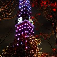 東京タワー の写真 (1)