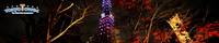 東京タワー の写真