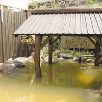 縄文天然温泉　志楽の湯 の写真 (3)
