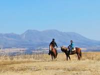 アイランドリゾート阿蘇　エル・パティオ牧場 阿蘇ホーストレッキング（乗馬） の写真 (3)
