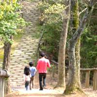 兵庫県立一庫公園 の写真 (3)