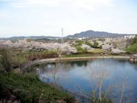 藤原山公園 の写真 (2)