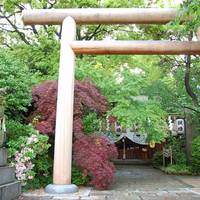 堀越神社 の写真
